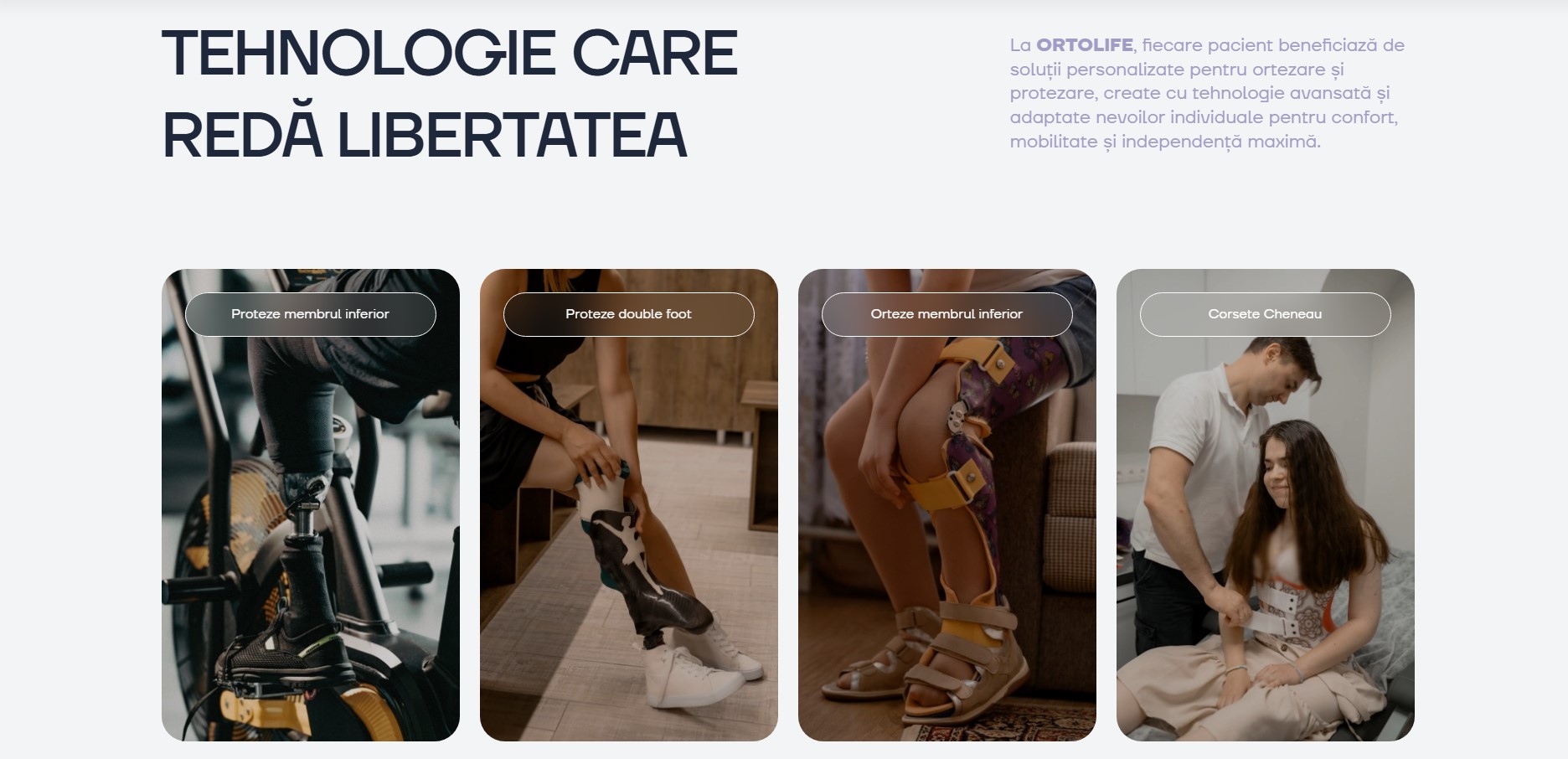 Front-End Development and Technical Improvements for ortolife.md