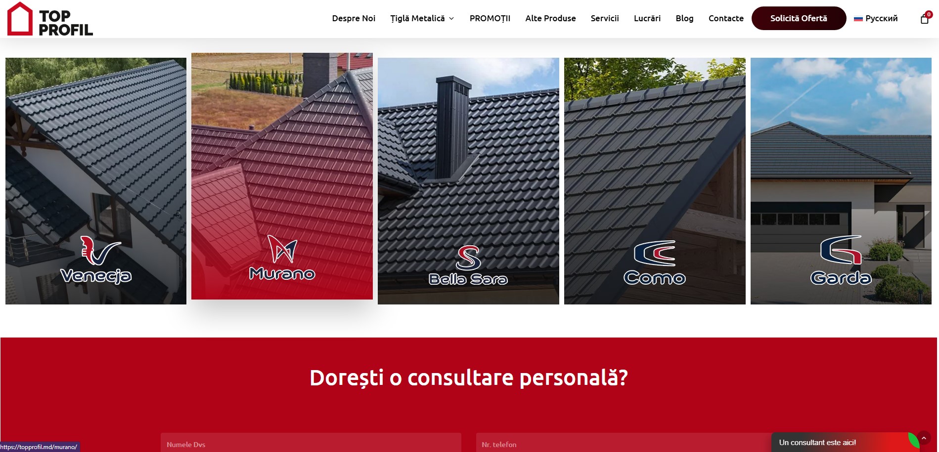 Suport și mentenanță topprofil.md