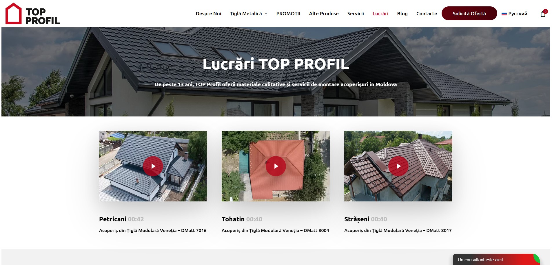 Suport și mentenanță topprofil.md