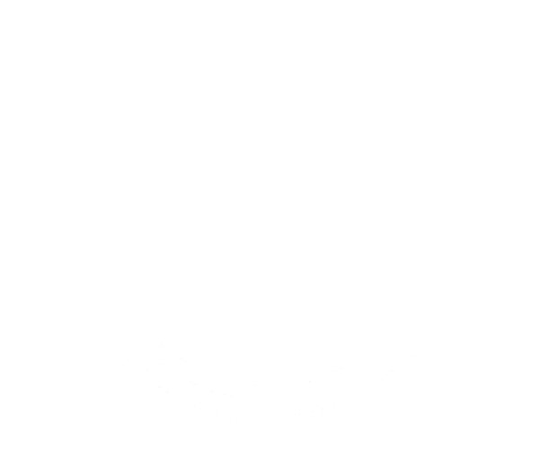 Внутренняя оптимизация esa.md