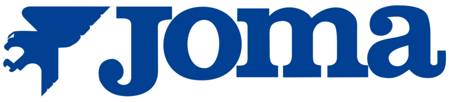 Разработка интернет-магазина joma-nord.md
