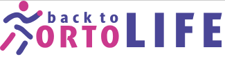 Верстка и технические доработки ortolife.md